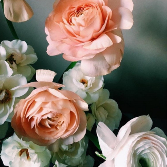 Meet your Posher, Claudia - Picture 1 of 1